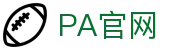 PA电子|PA电子官方网站